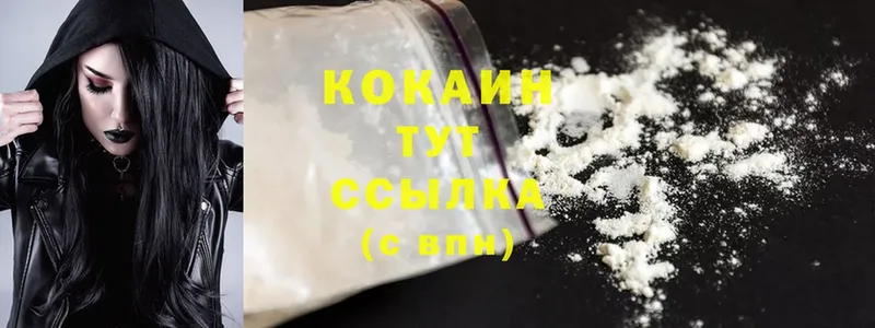 KRAKEN онион  Каргополь  Cocaine 99% 