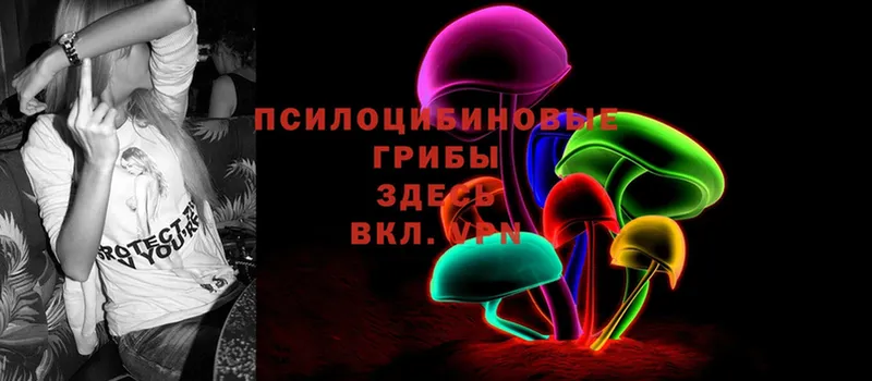 Псилоцибиновые грибы Psilocybine cubensis  darknet Telegram  Каргополь 